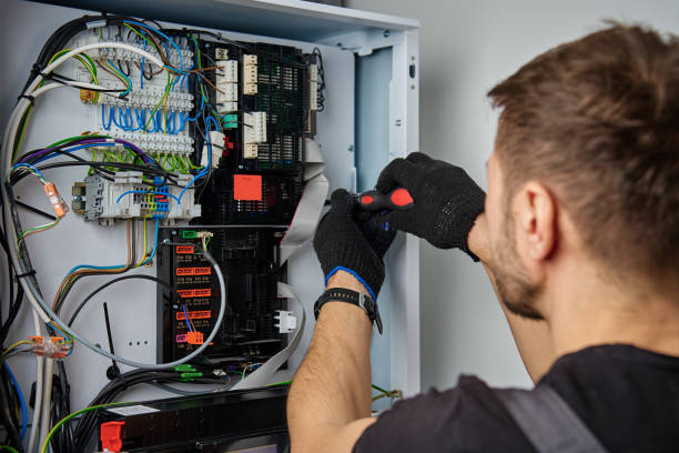 Licensed Electrical Panel Upgrade service in DeWitt, MI - No Joke electrician